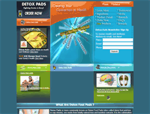 Tablet Screenshot of detoxpads.com